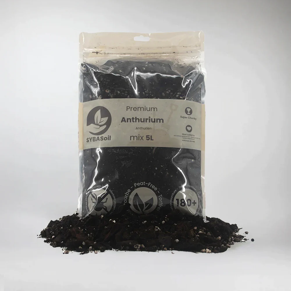Anthurium Mix 5L
