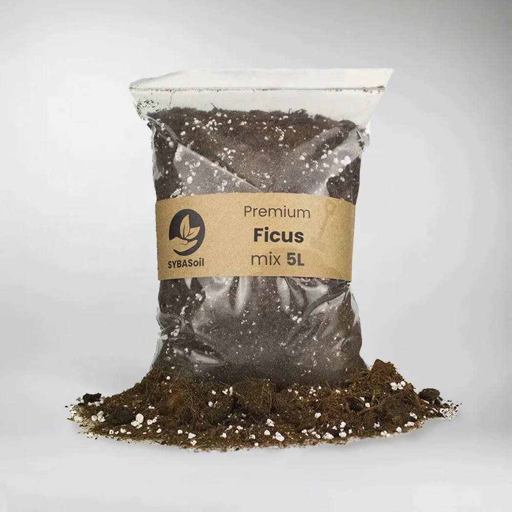 Ficus Mix 5L