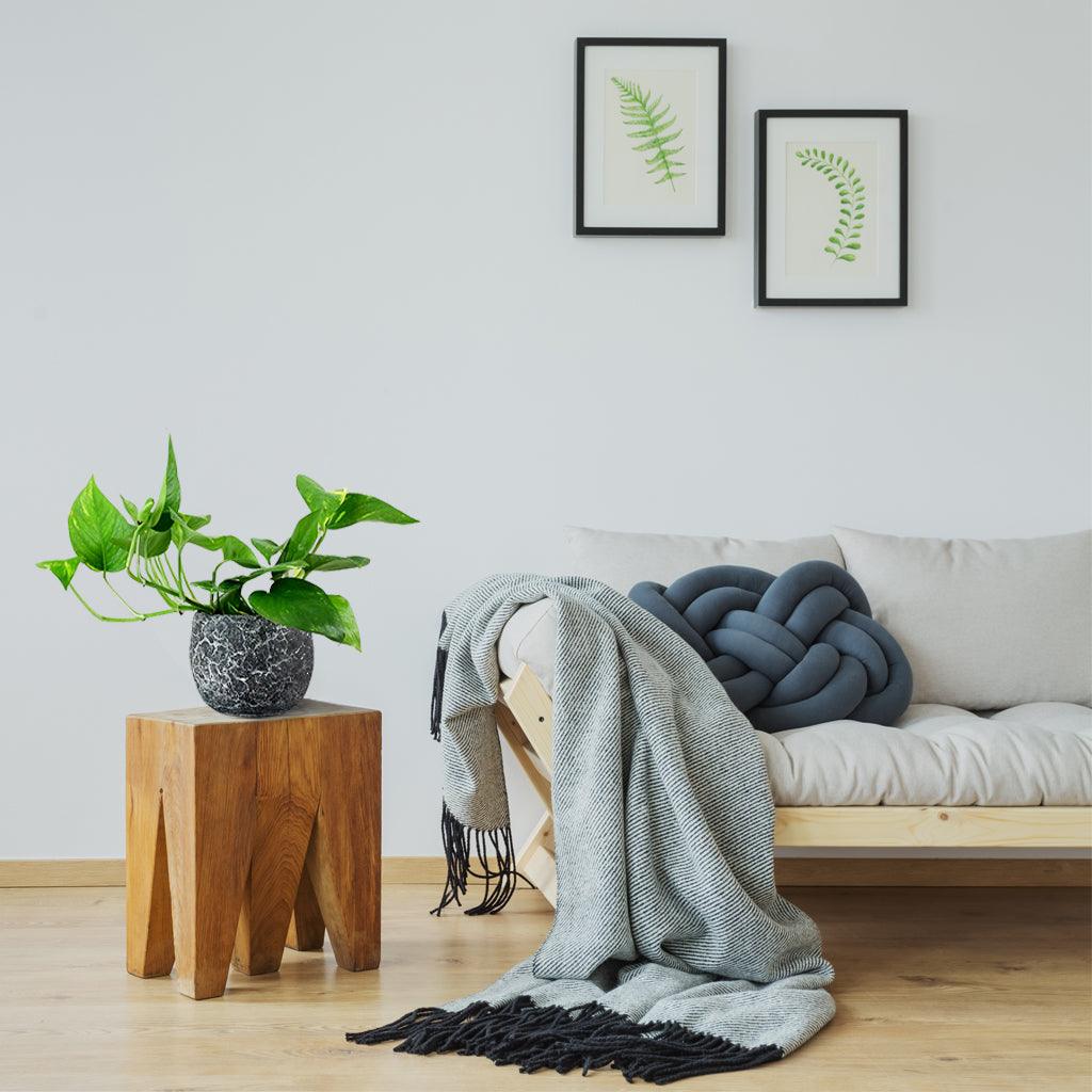 Golden Pothos | Epipremnum Aureum - Image 4