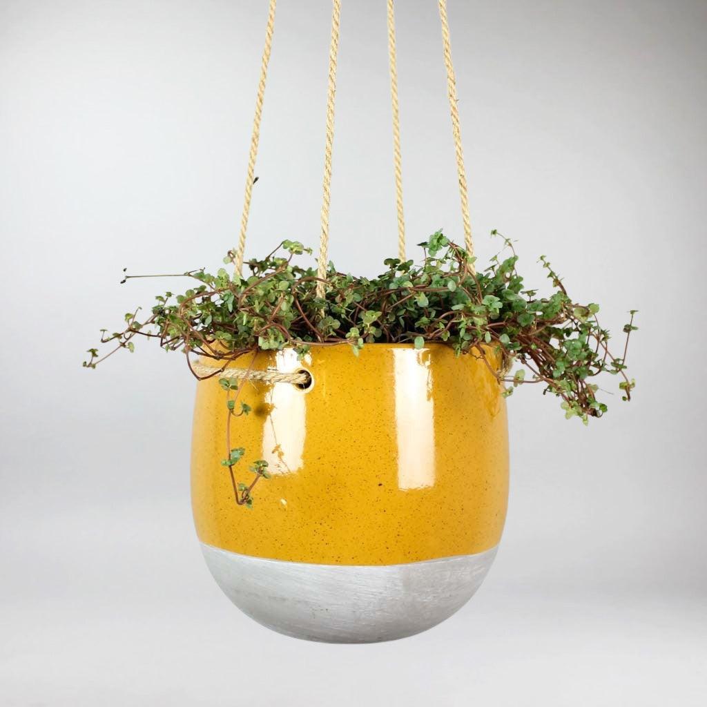 Ceramic Hanging Pot 'Hitch' - Image 6
