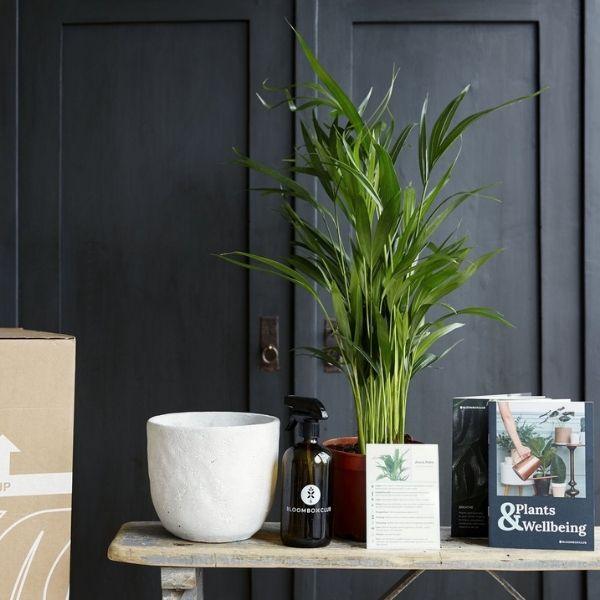 Plant Subscription Box Gift Card - Image 3