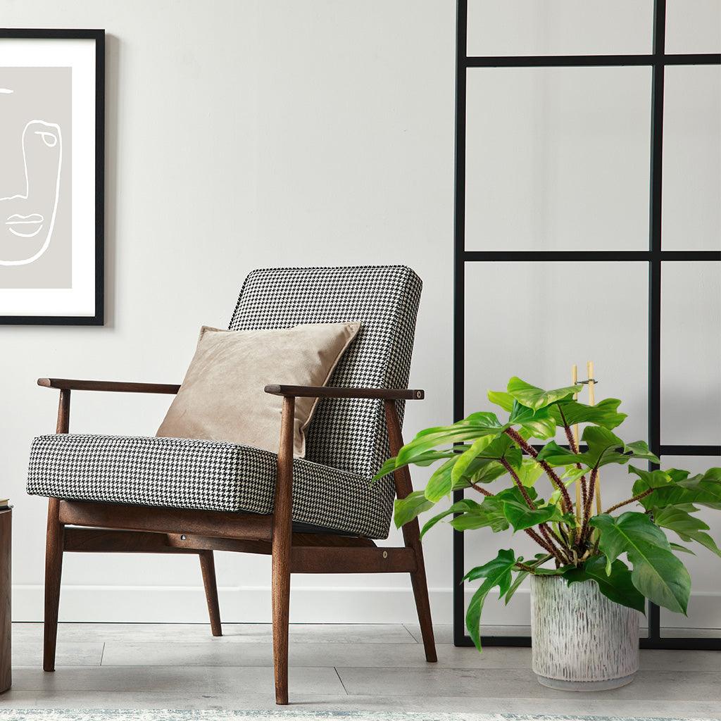 Philodendron 'Tree Hugger' | Philodendron Squamiferum - Image 4