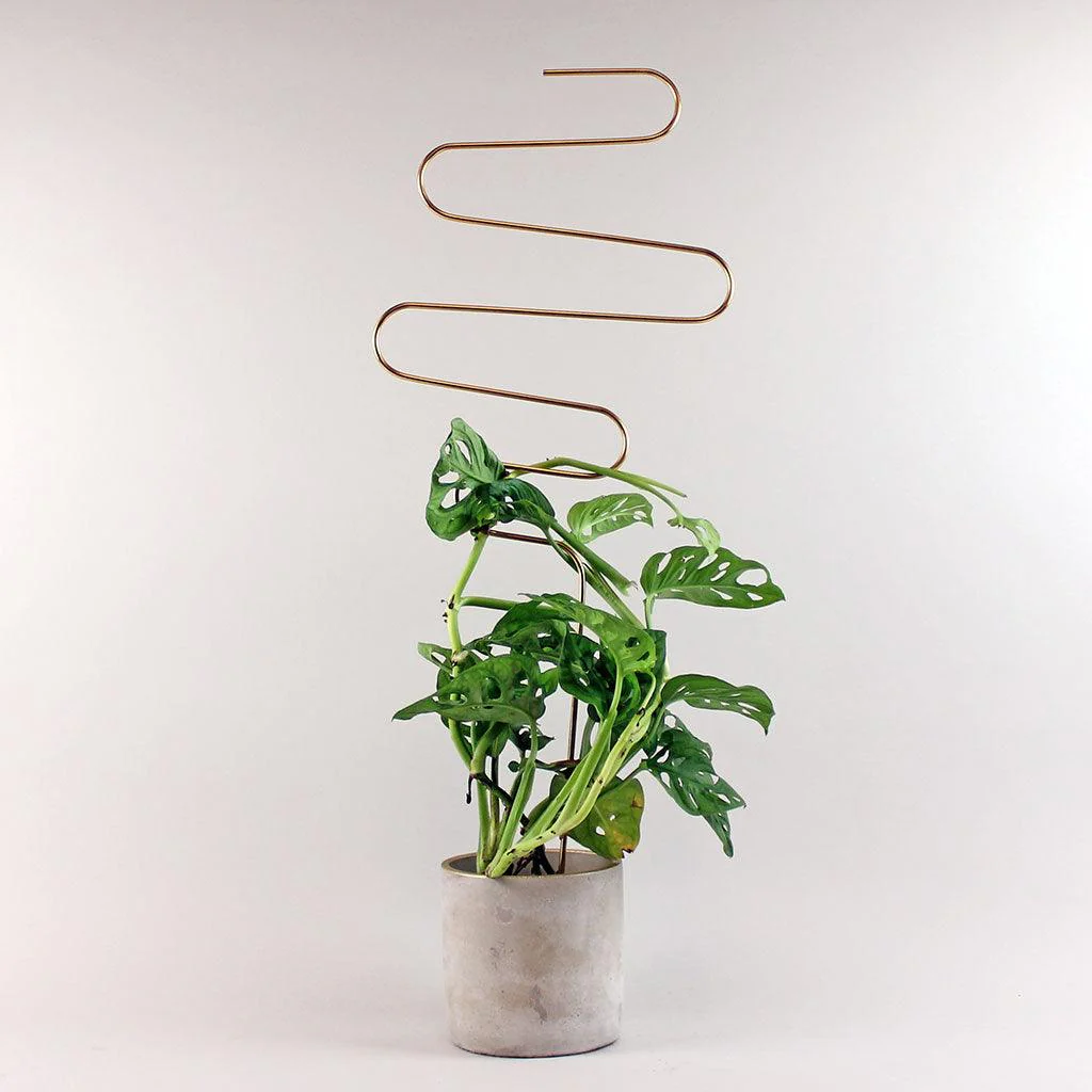 Plant Support - Image 4