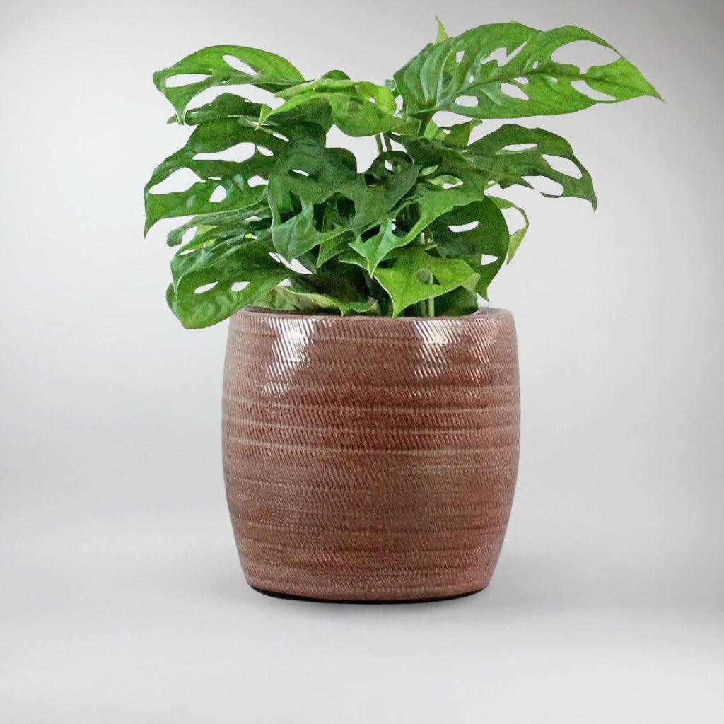 Trendy Rust Textured Pot 'Rosso' - Image 4