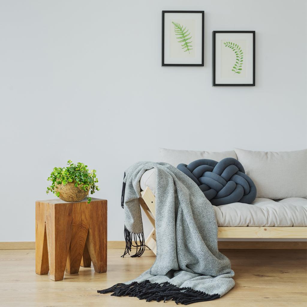 Set: Sedum Makinoi with Eco Coconut Pot | Sedum Makinoi - Image 5