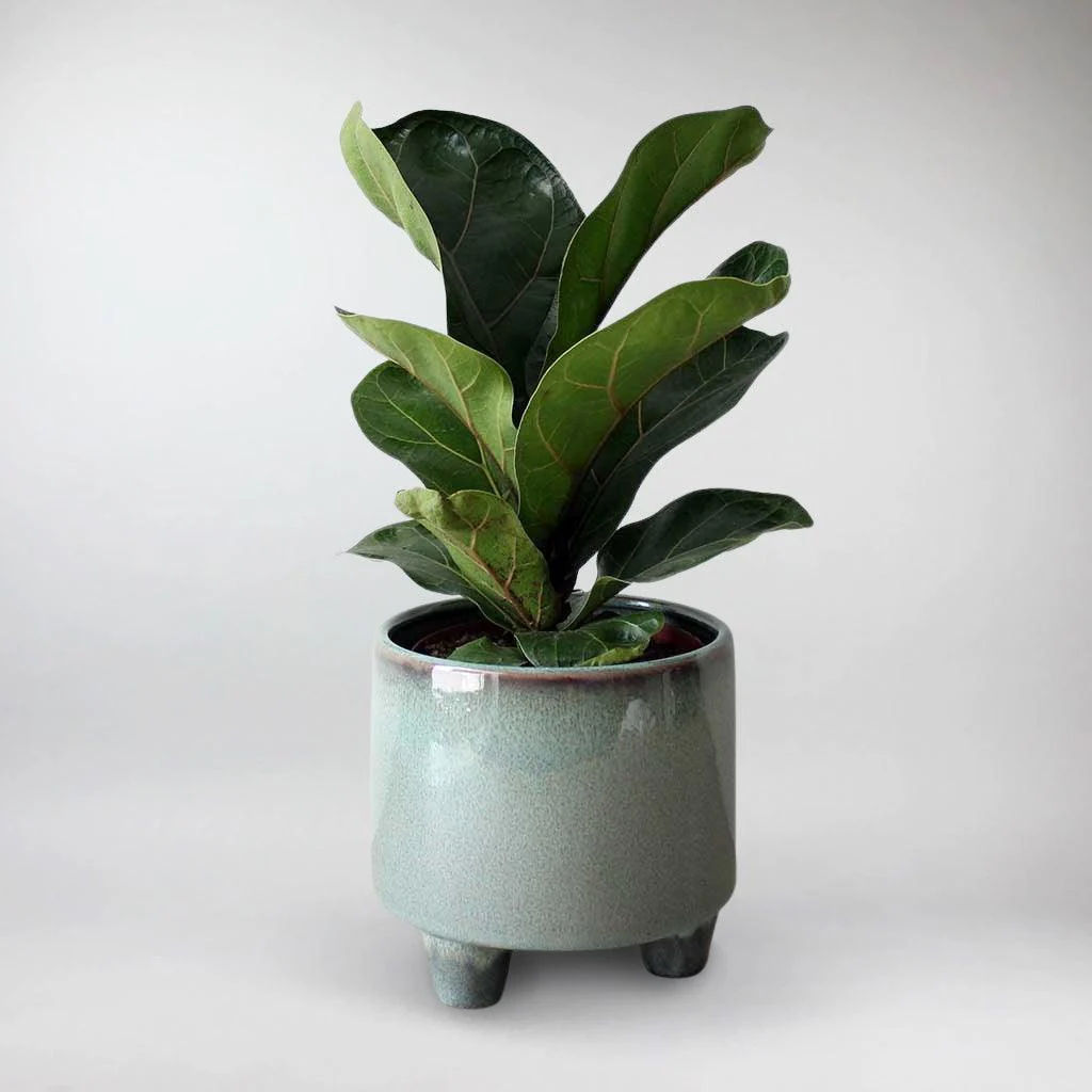 3 Legged Ceramic Pot  'Troika' - Image 4